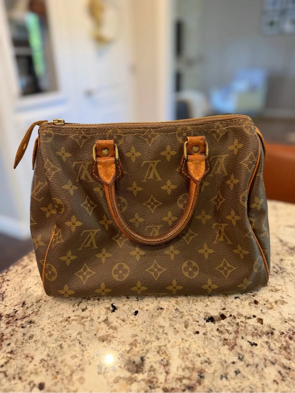 Louis Vuitton Speedy 25